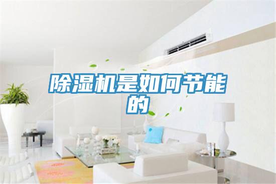 91免费网站在线观看是如何节能的