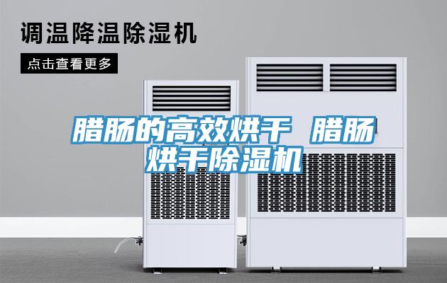 腊肠的高效烘干 腊肠烘干91免费网站在线观看