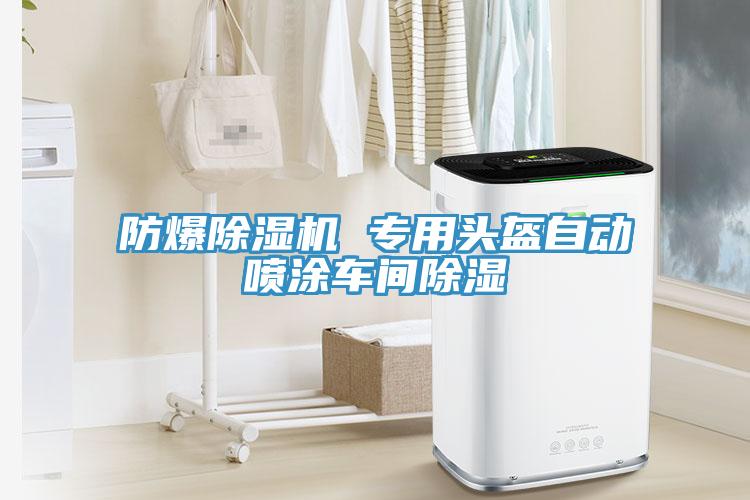 防爆91免费网站在线观看 专用头盔自动喷涂车间除湿