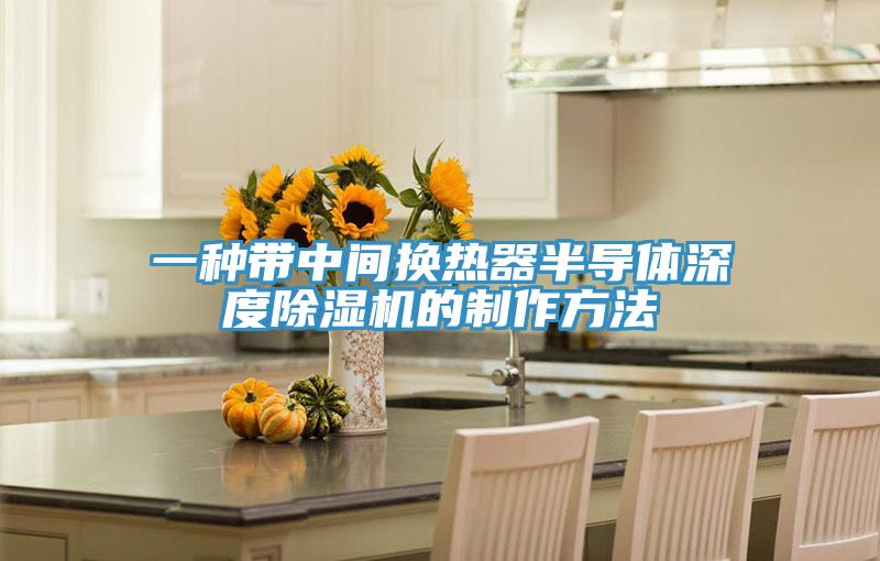 一种带中间换热器半导体深度91免费网站在线观看的制作方法