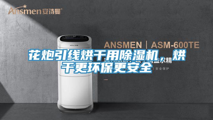 花炮引线烘干用91免费网站在线观看，烘干更环保更安全