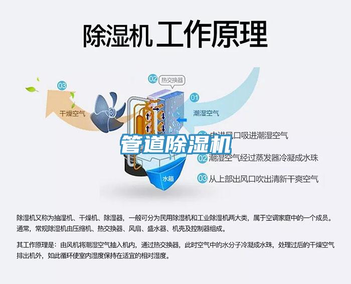 管道91免费网站在线观看
