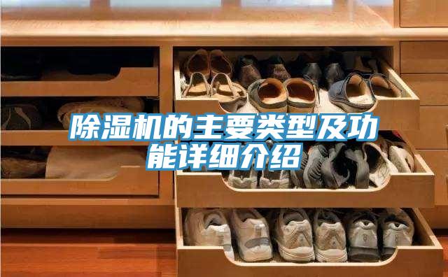 91免费网站在线观看的主要类型及功能详细介绍
