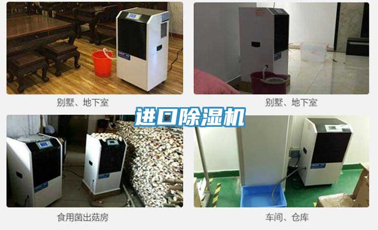 进口91免费网站在线观看