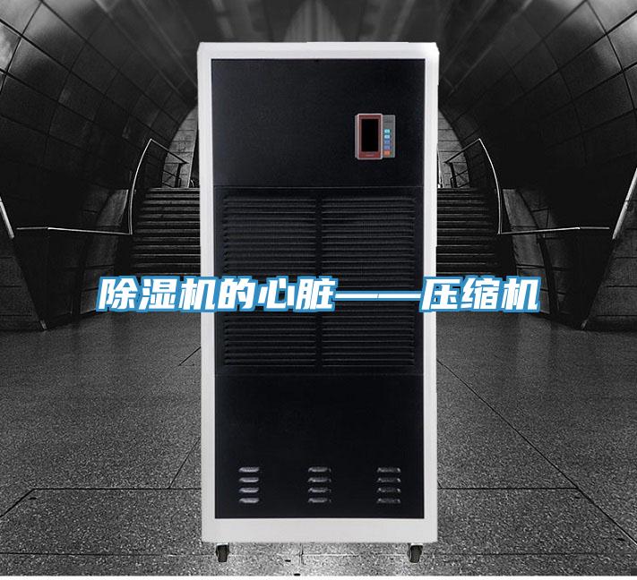91免费网站在线观看的心脏——压缩机