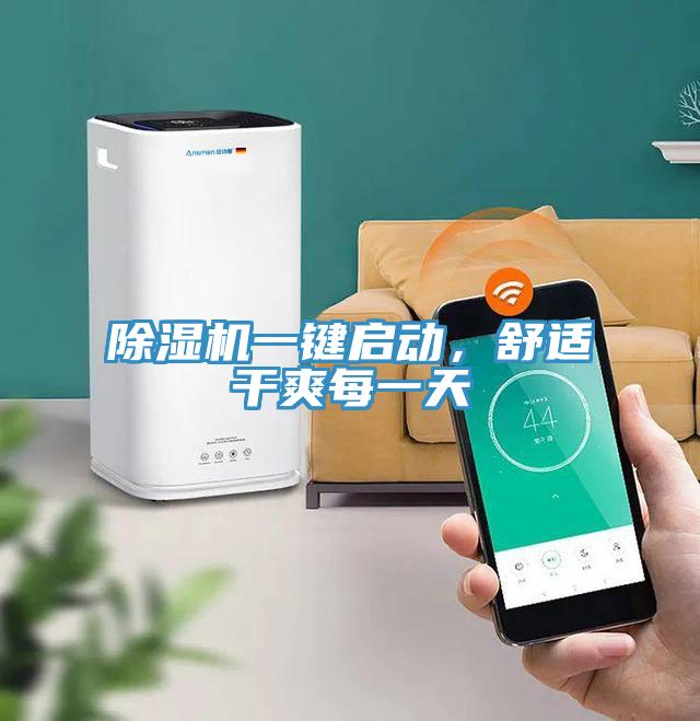 91免费网站在线观看一键启动，舒适干爽每一天