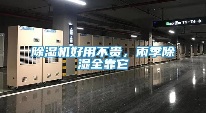 91免费网站在线观看好用不贵，雨季除湿全靠它