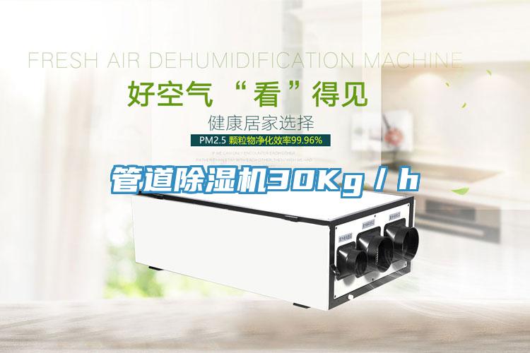 管道91免费网站在线观看30Kg／h