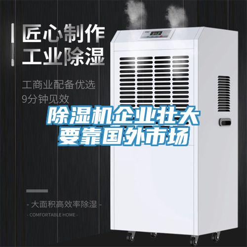 91免费网站在线观看企业壮大要靠国外市场