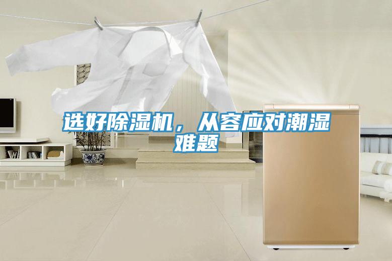选好91免费网站在线观看，从容应对潮湿难题