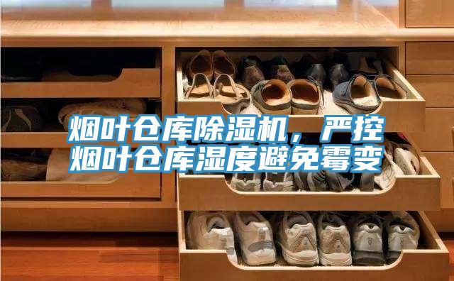 烟叶仓库91免费网站在线观看，严控烟叶仓库湿度避免霉变