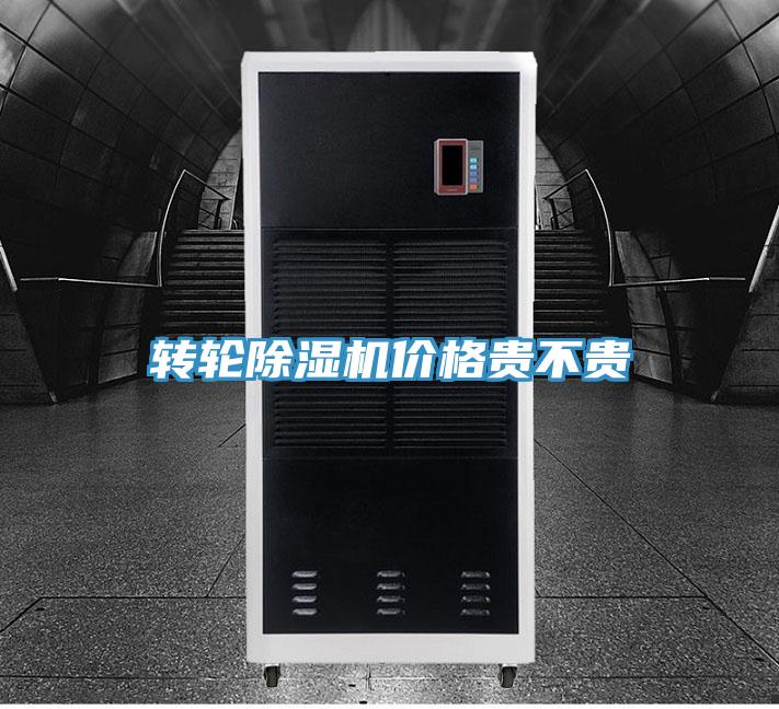 转轮91免费网站在线观看价格贵不贵
