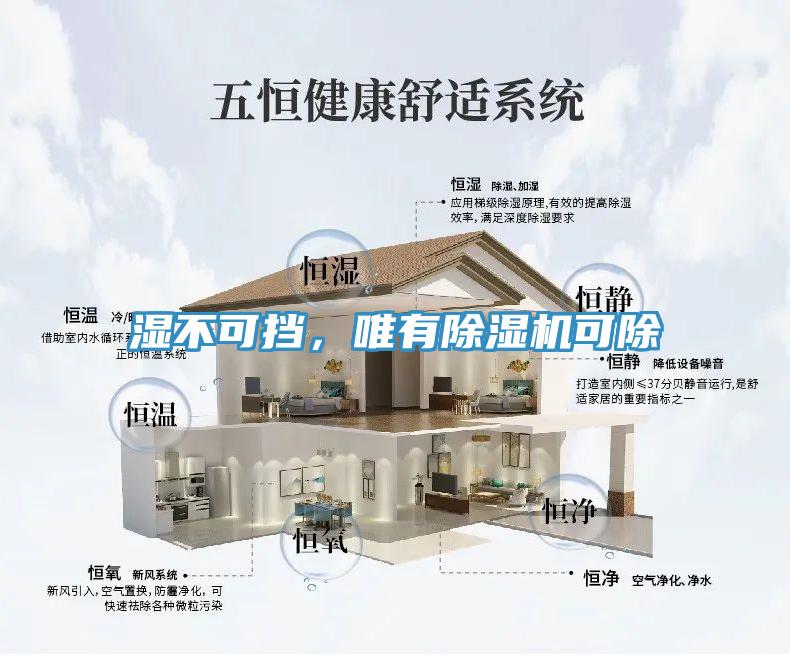 湿不可挡，唯有91免费网站在线观看可除