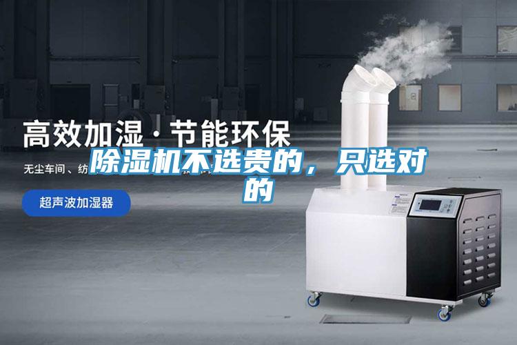 91免费网站在线观看不选贵的，只选对的