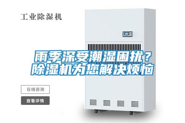 雨季深受潮湿困扰？91免费网站在线观看为您解决烦恼