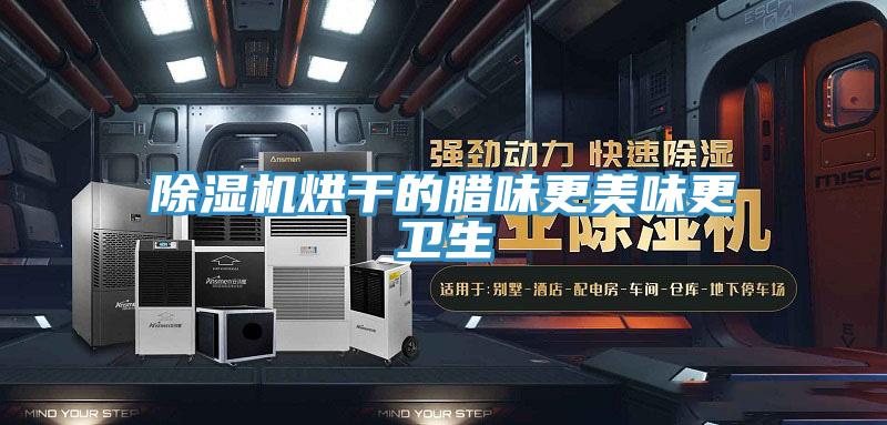 91免费网站在线观看烘干的腊味更美味更卫生