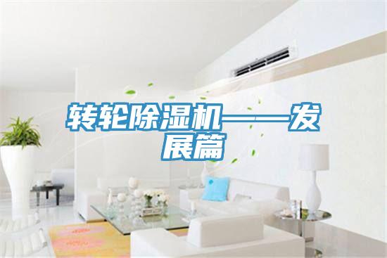 转轮91免费网站在线观看——发展篇