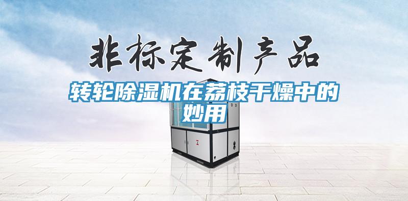 转轮91免费网站在线观看在荔枝干燥中的妙用