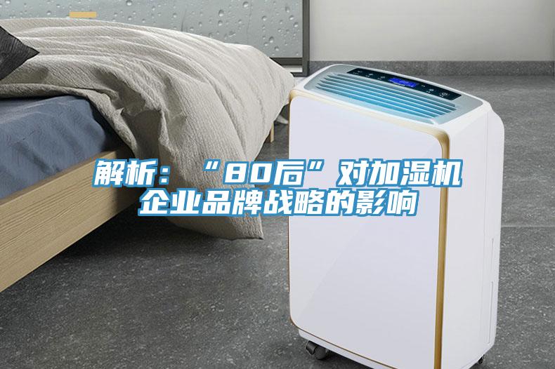 解析：“80后”对加湿机企业品牌战略的影响