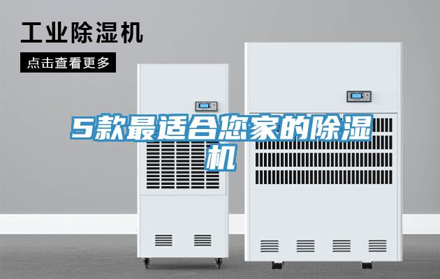 5款最适合您家的91免费网站在线观看