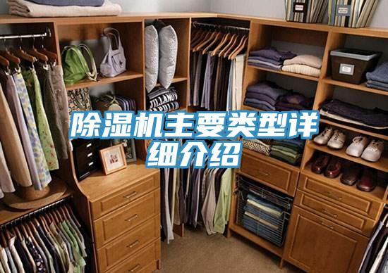 91免费网站在线观看主要类型详细介绍