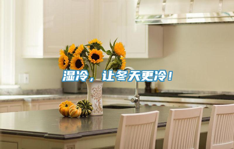 湿冷，让冬天更冷！