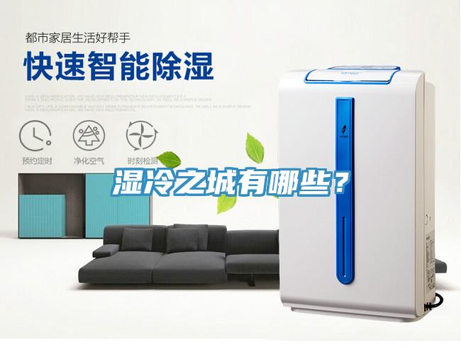 湿冷之城有哪些？