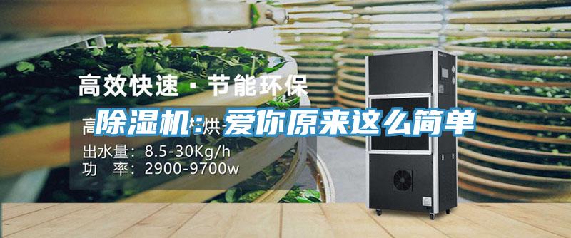 91免费网站在线观看：爱你原来这么简单