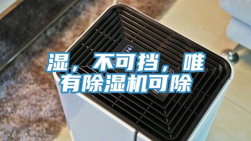 湿，不可挡，唯有91免费网站在线观看可除
