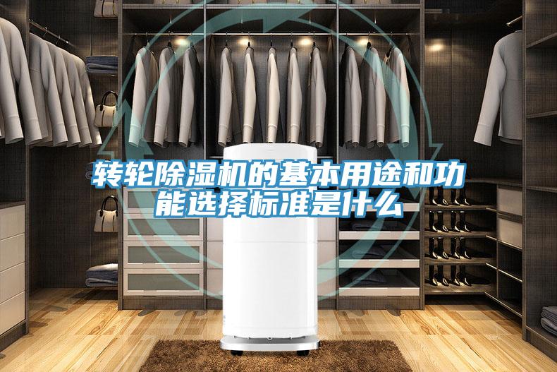 转轮91免费网站在线观看的基本用途和功能选择标准是什么
