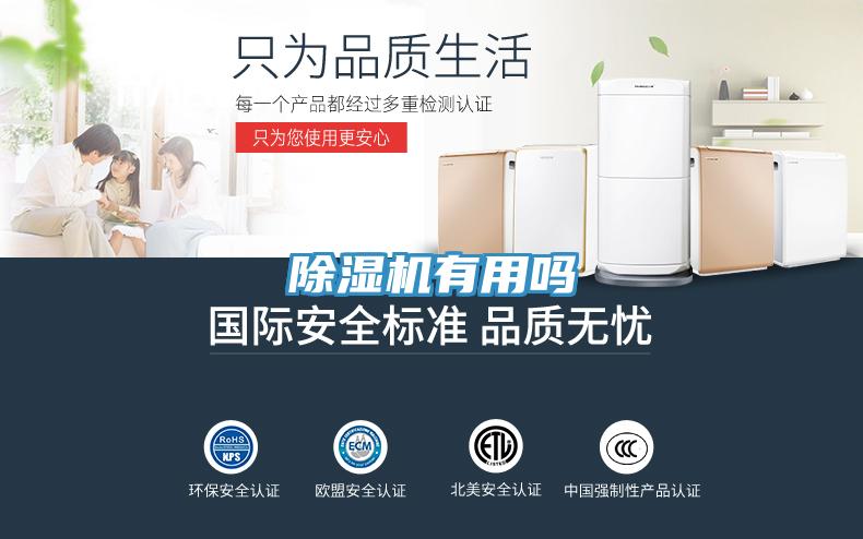 91免费网站在线观看有用吗