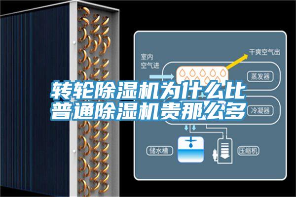 转轮91免费网站在线观看为什么比普通91免费网站在线观看贵那么多