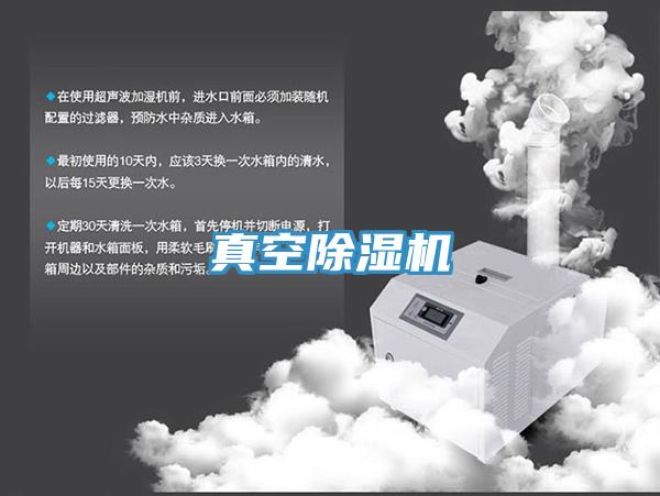 真空91免费网站在线观看