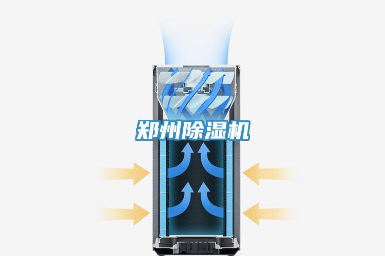 郑州91免费网站在线观看