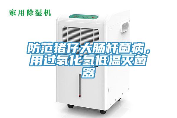 防范猪仔大肠杆菌病，用过氧化氢低温灭菌器