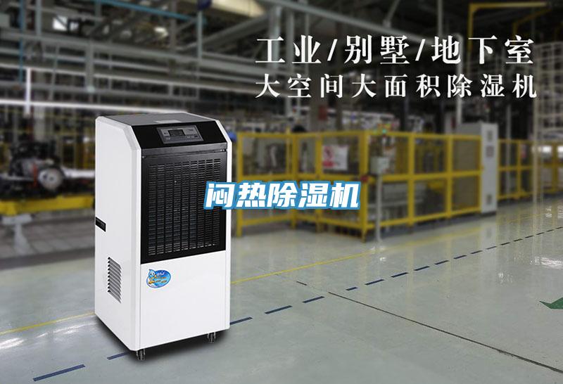 闷热91免费网站在线观看