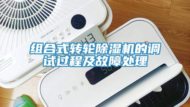 组合式转轮91免费网站在线观看的调试过程及故障处理