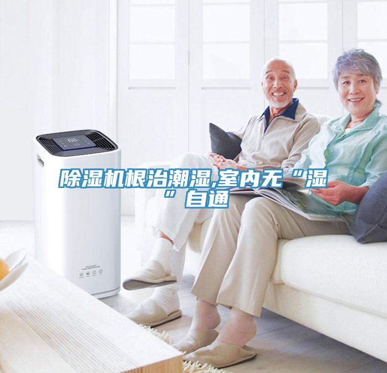91免费网站在线观看根治潮湿,室内无“湿”自通