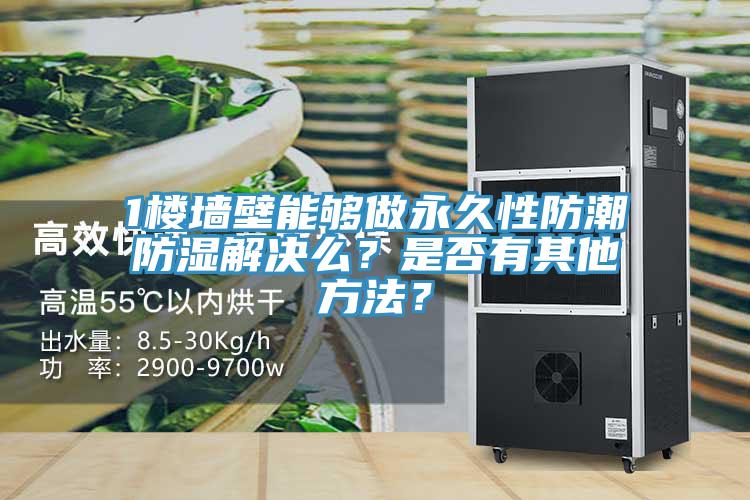 1楼墙壁能够做永久性防潮防湿解决么？是否有其他方法？