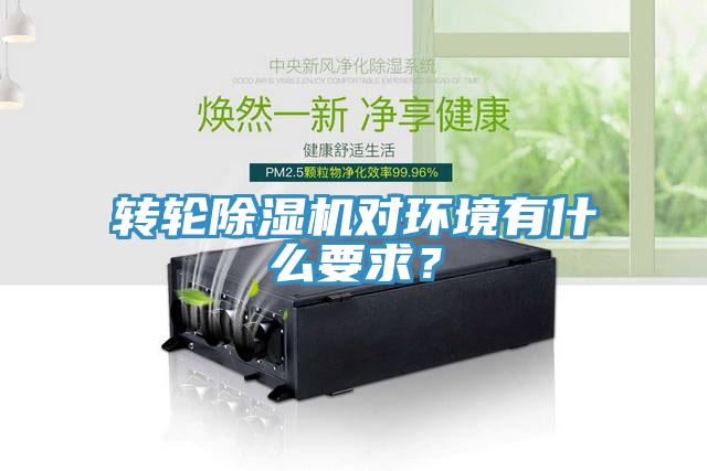 转轮91免费网站在线观看对环境有什么要求？