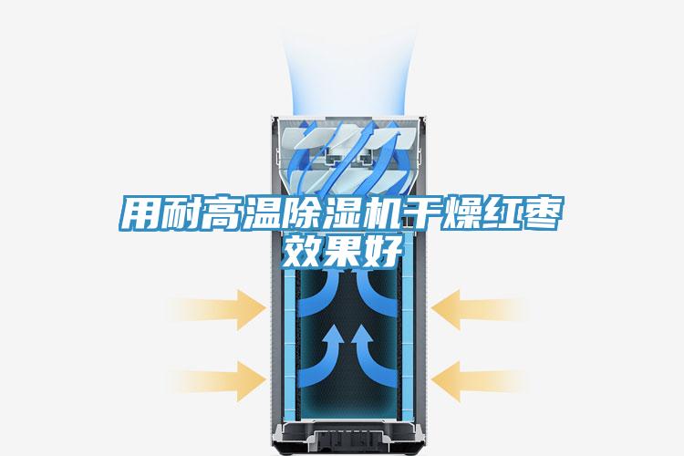 用耐高温91免费网站在线观看干燥红枣效果好