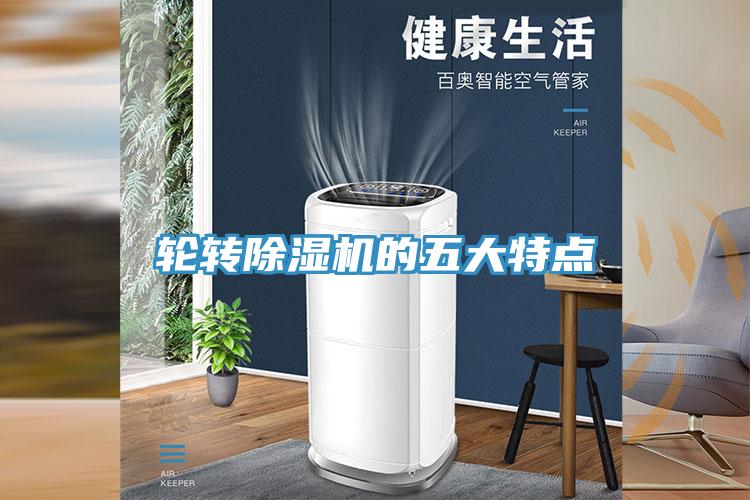 轮转91免费网站在线观看的五大特点
