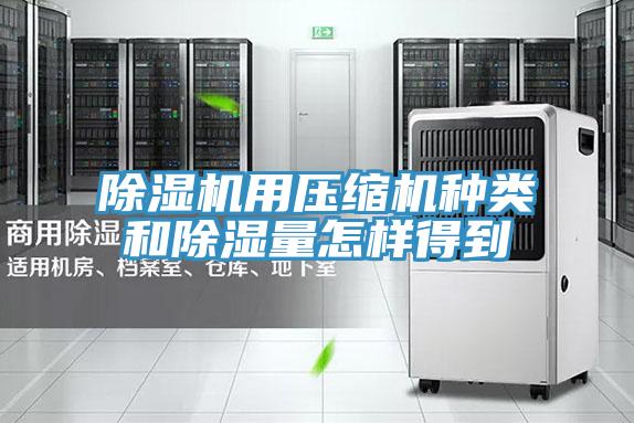 91免费网站在线观看用压缩机种类和除湿量怎样得到
