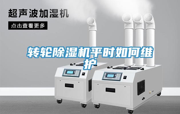 转轮91免费网站在线观看平时如何维护