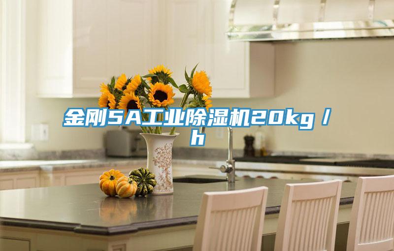 金刚5A工业91免费网站在线观看20kg／h