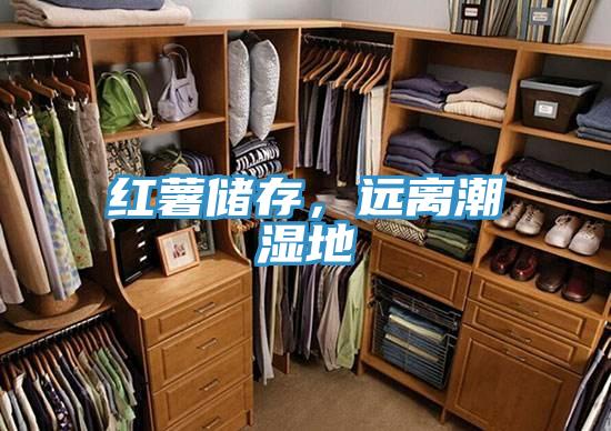 红薯储存，远离潮湿地