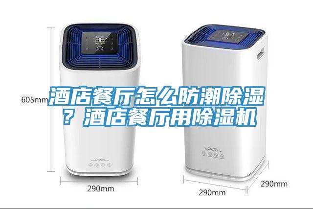酒店餐厅怎么防潮除湿？酒店餐厅用91免费网站在线观看