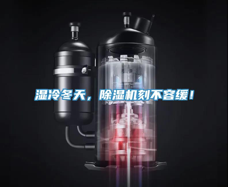 湿冷冬天，91免费网站在线观看刻不容缓！