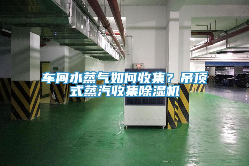 车间水蒸气如何收集？吊顶式蒸汽收集91免费网站在线观看
