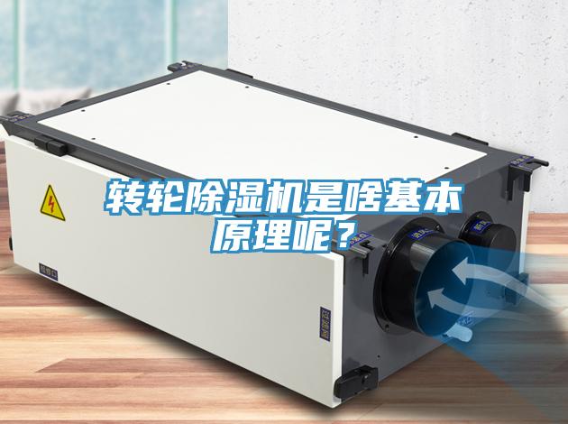 转轮91免费网站在线观看是啥基本原理呢？